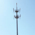 Berufstelekommunikations-Türme, verkleideter Kiefer-Turm